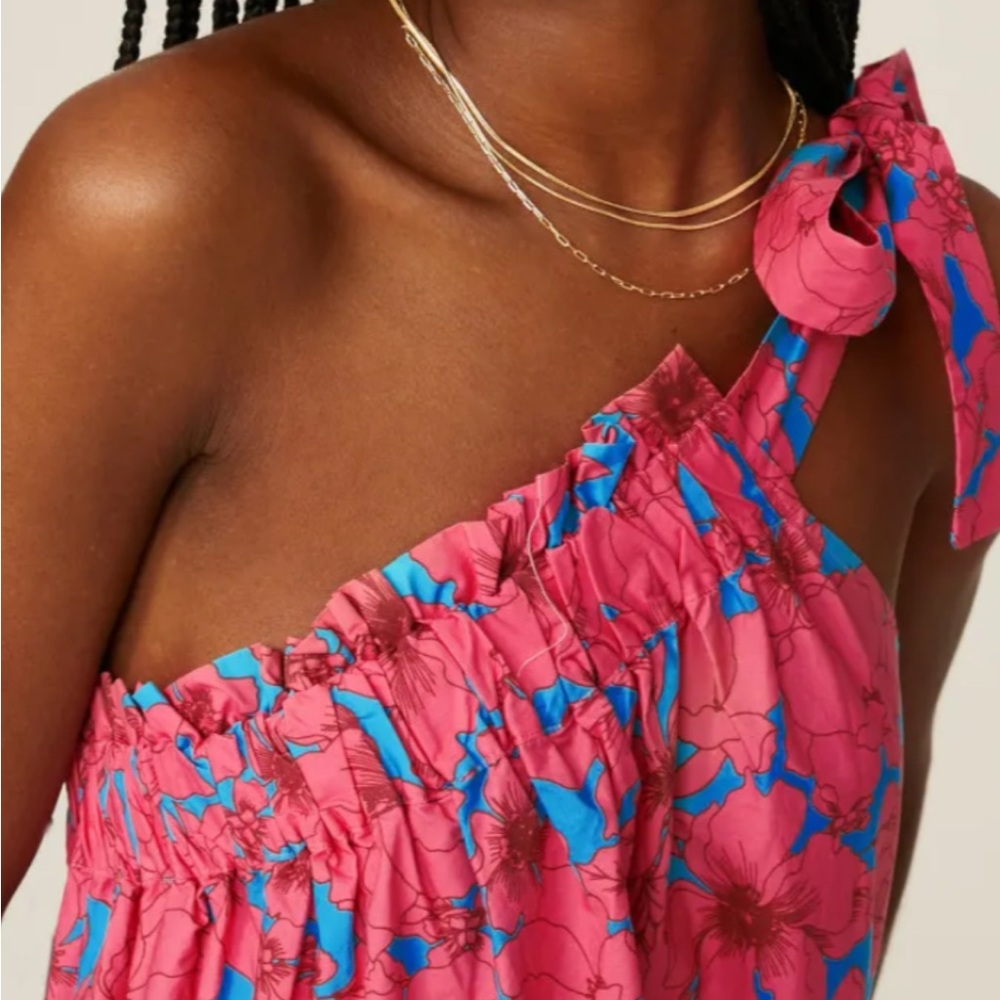 XiRENA Pink and Blue Floral Maxi Dress